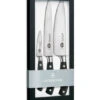 Victorinox Kitchen Knives - Chef's Knife Set 7.7243.3