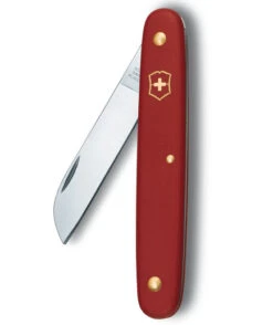 Victorinox Swiss Army Knife - EcoLine Budding Knife 3.9050