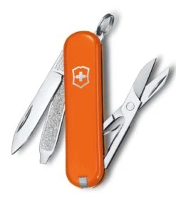 Swiss Army Knife - Victorinox CLASSIC 0.6223.83.G